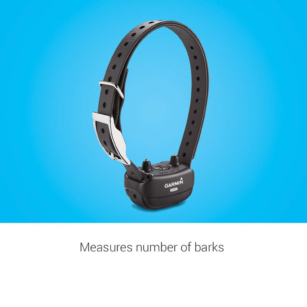 Rechargeable Dog Training Collar G948789