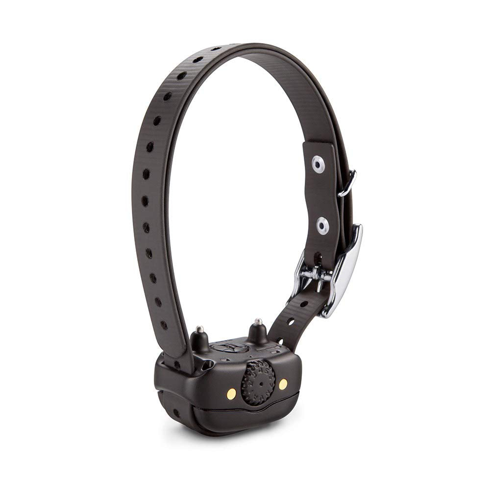 Rechargeable Dog Training Collar G948789