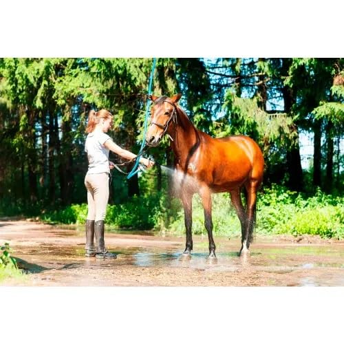 3/4 Inch x 100 Foot Hot Water Rubber Water Hose with GHT Fittings U853