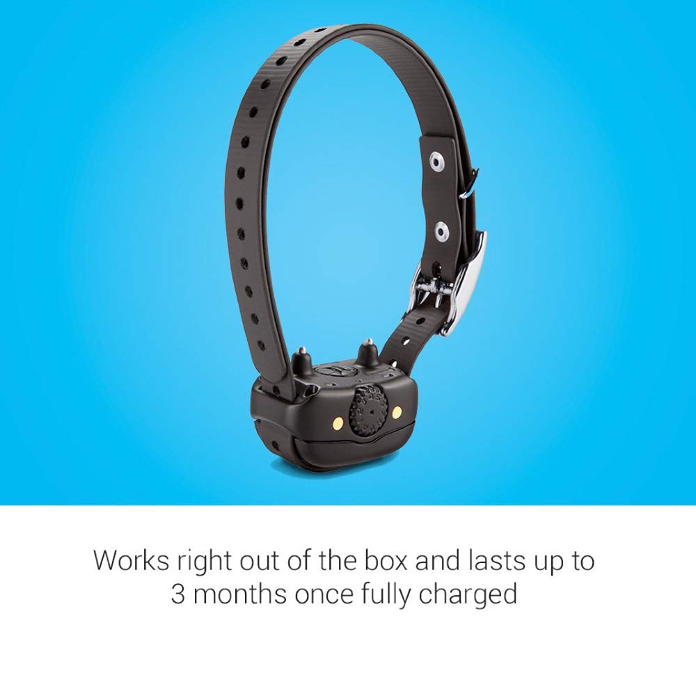 Rechargeable Dog Training Collar G948789