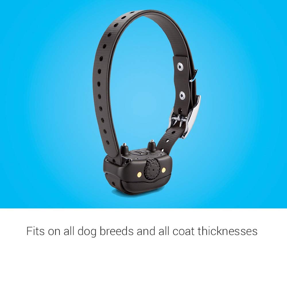 Rechargeable Dog Training Collar G948789