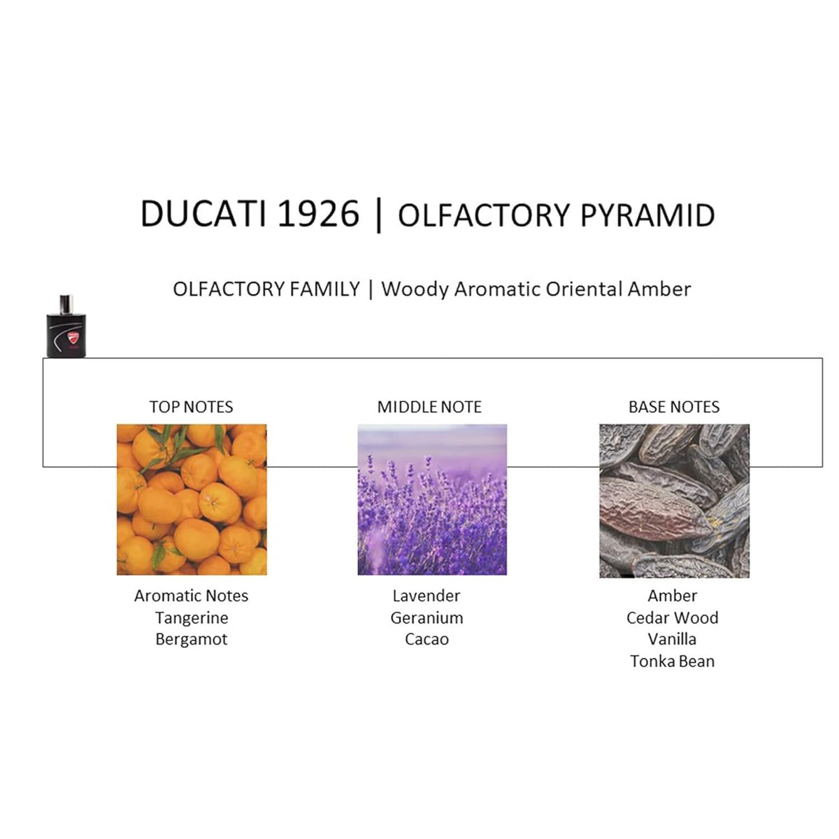 Aromatic Fougere 3.4 oz EDT Spray K82634