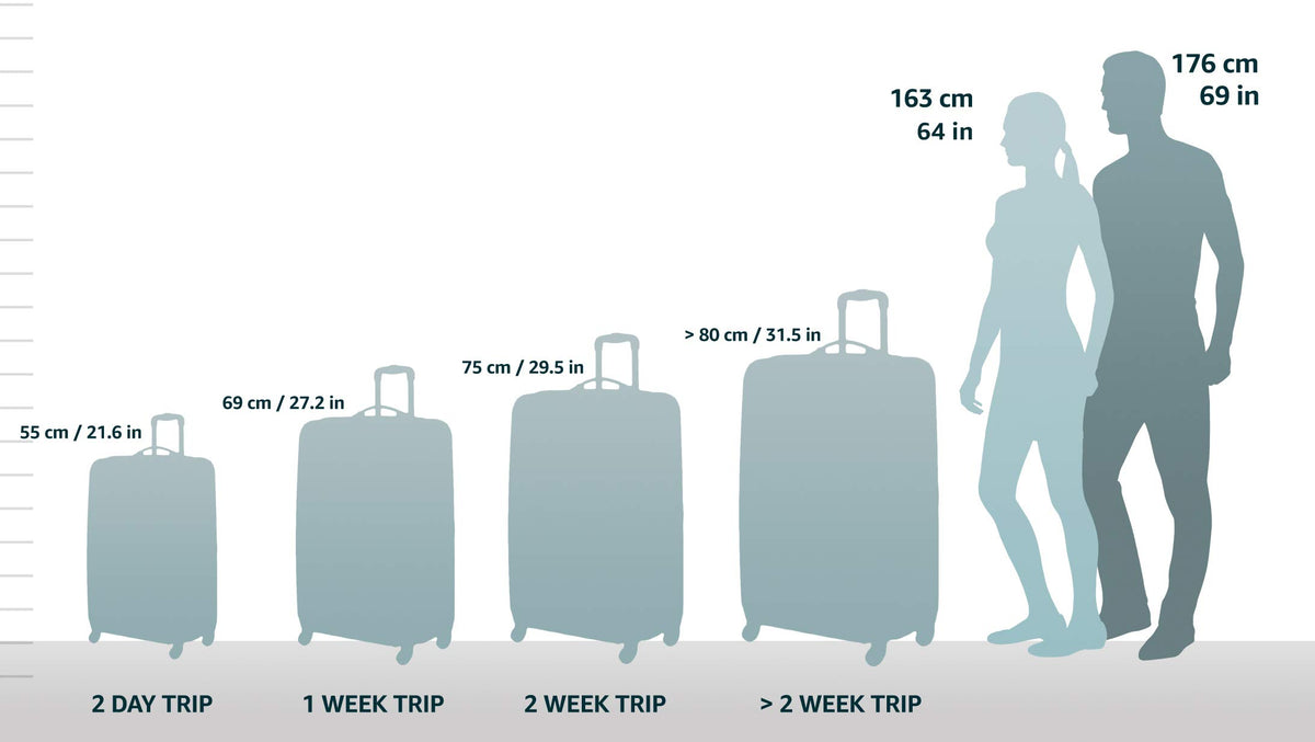 Black Expandable Spinner Carry-on 19" Z535