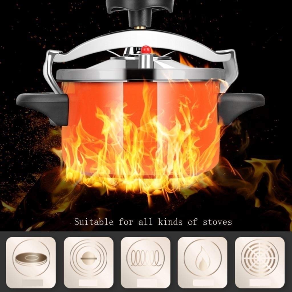 Stainless Steel 2L Pressure Cooker C292768