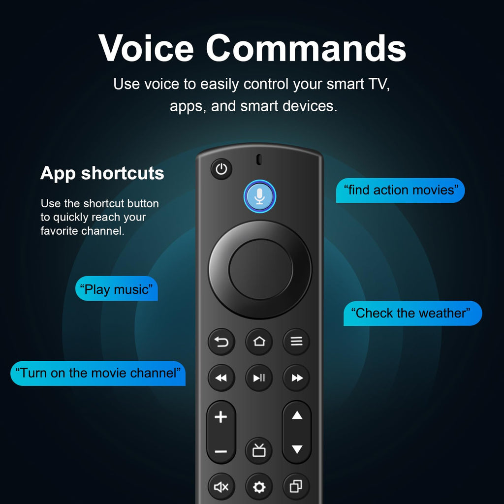 Replacement TV Remote D419