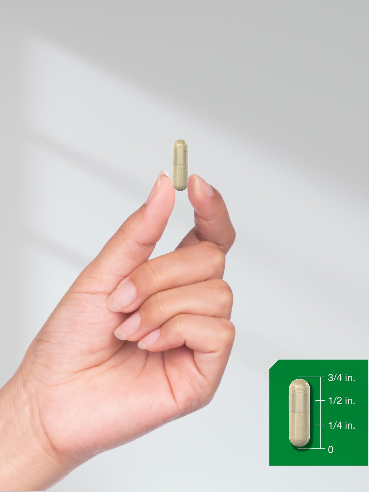 Moringa Oleifera 300 Capsules F31636