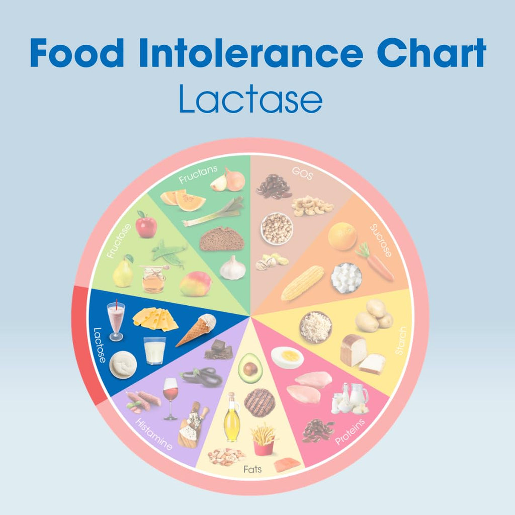 Lactase Digestive Enzymes 100 Tablet R391