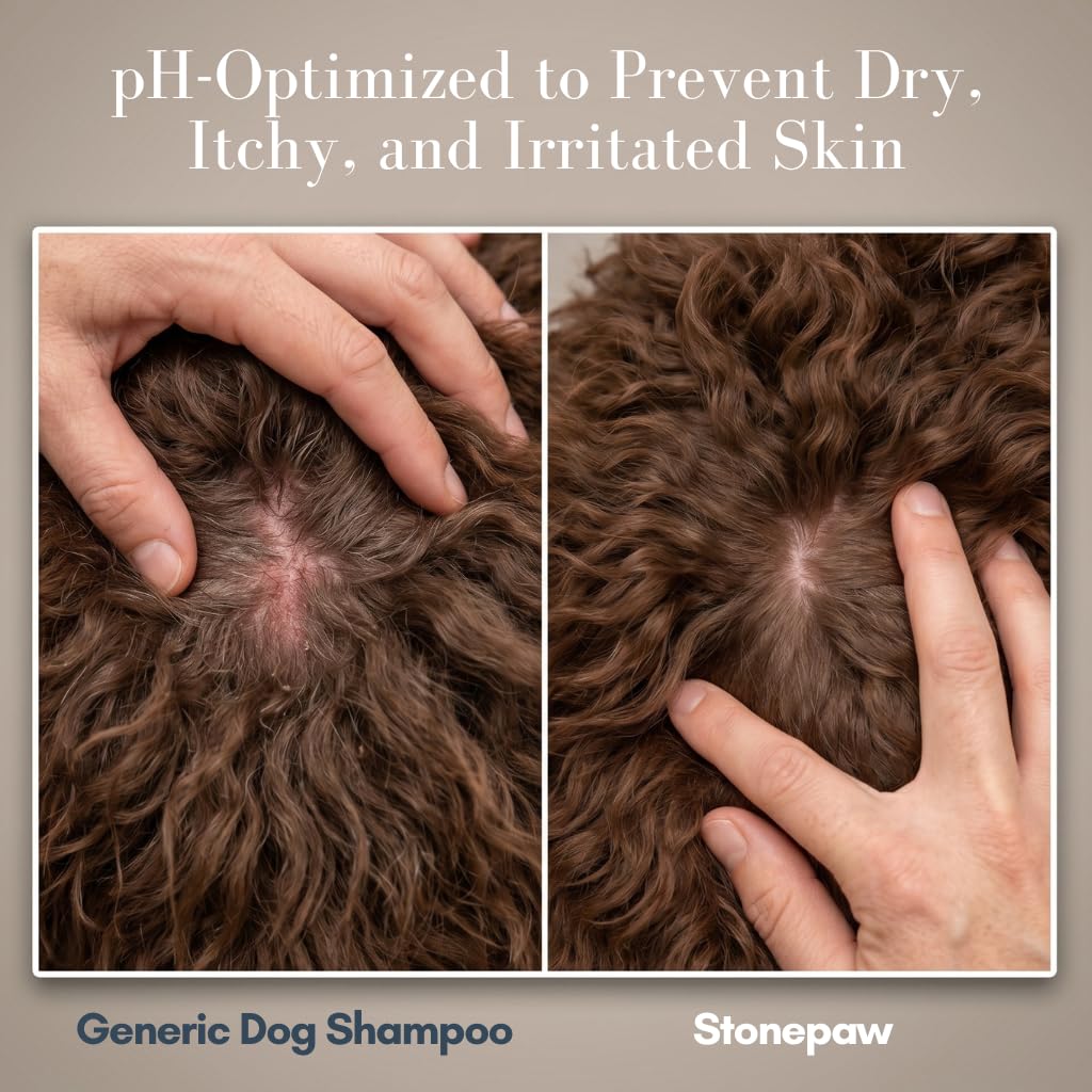 Lavender Dog Shampoo and Conditioner 16oz W982087