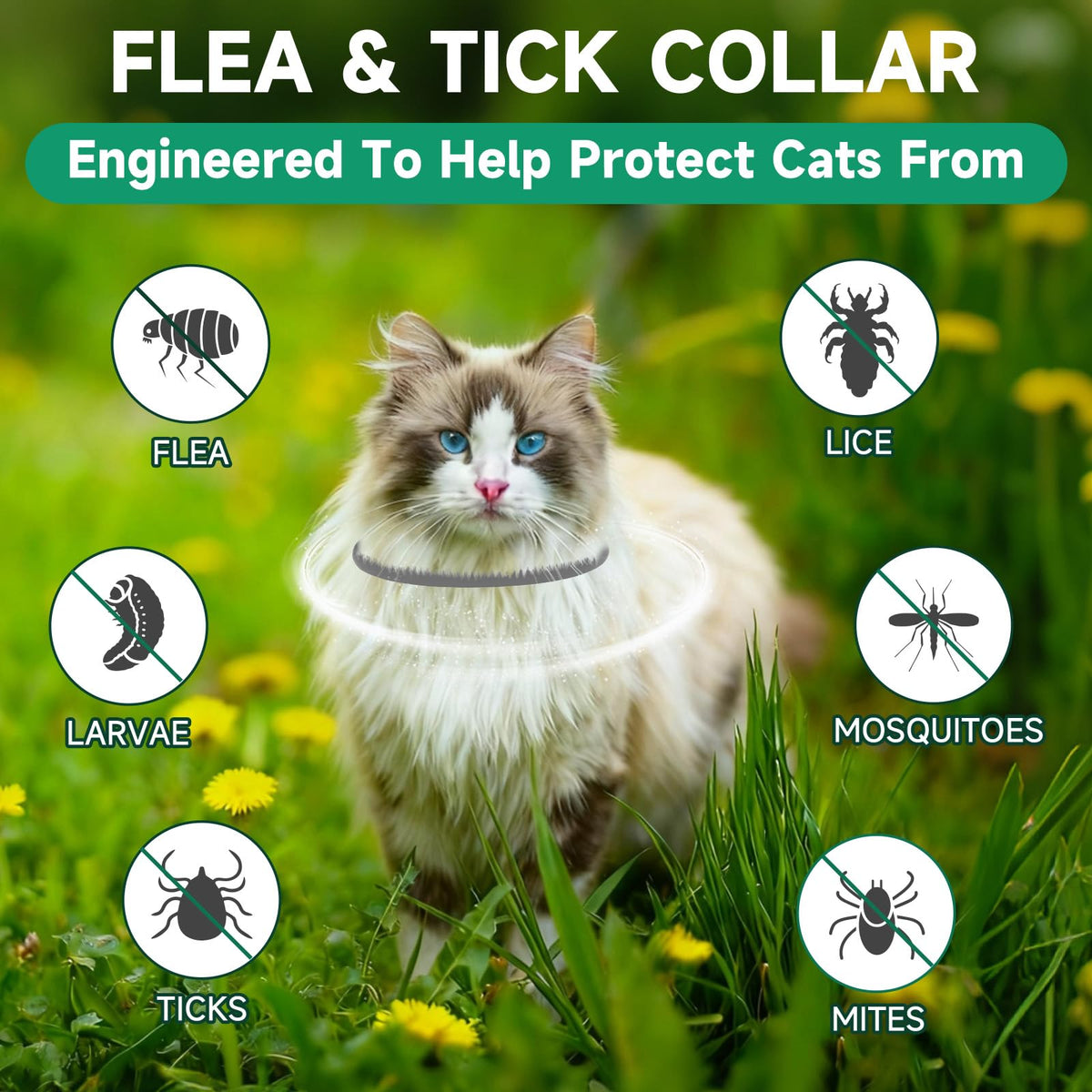Grey 4-Pack Cat Flea and Tick Collar X8070