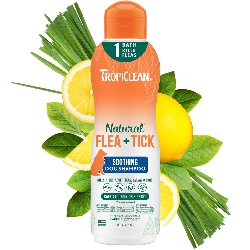 Soothing Flea and Tick Dog Shampoo 20oz S3524