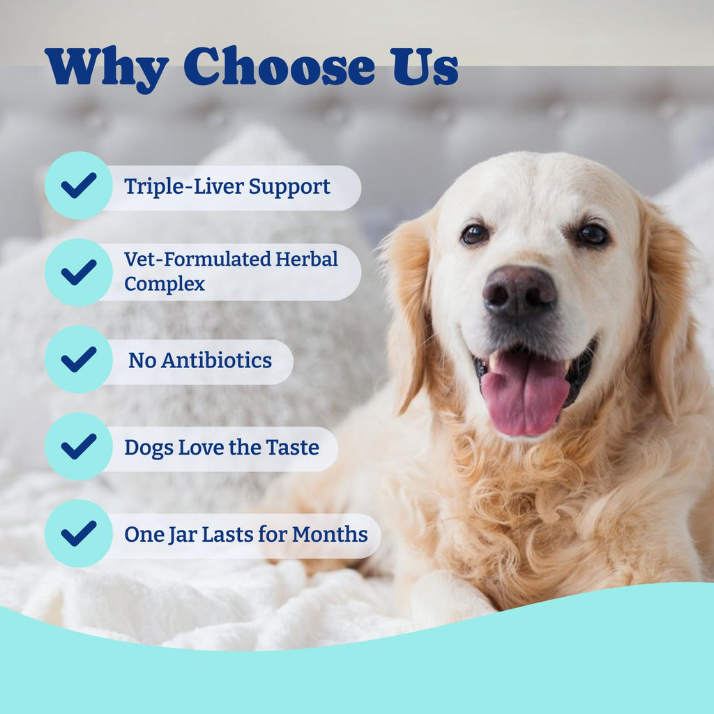 Milk Thistle Liver Support Chews for Dogs D41337