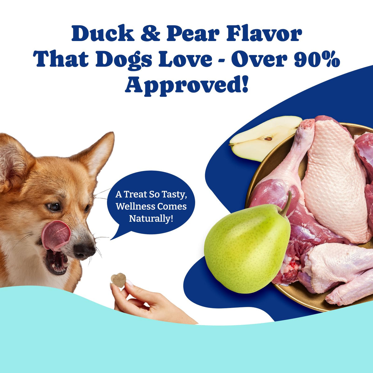 Milk Thistle Liver Support Chews for Dogs D41337