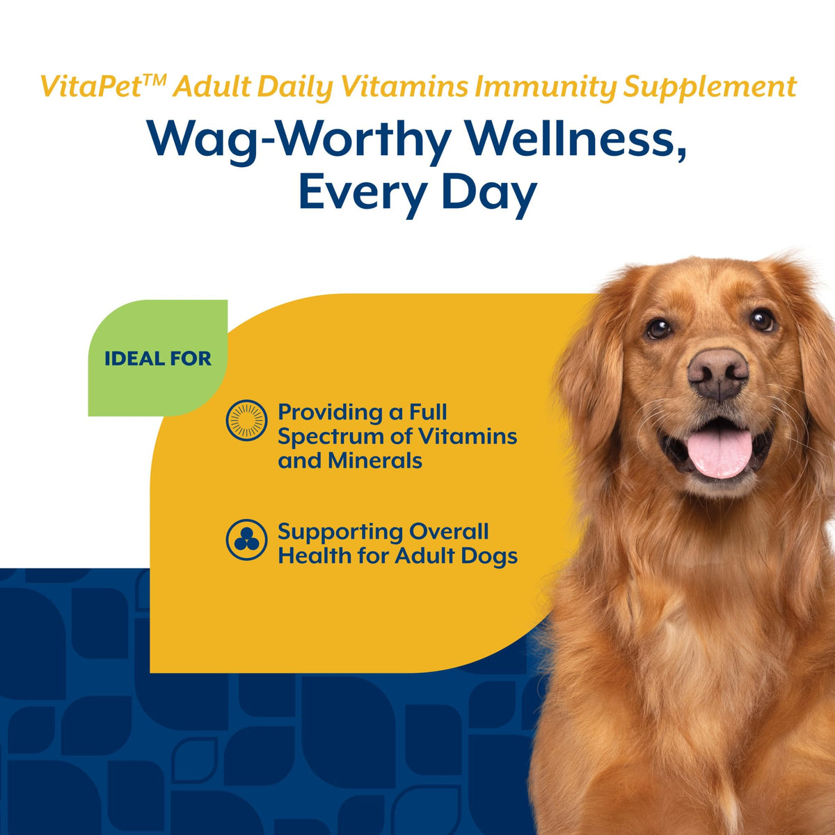 Adult Daily Vitamins with Breath Aid for Dogs 60 Ct Z435326
