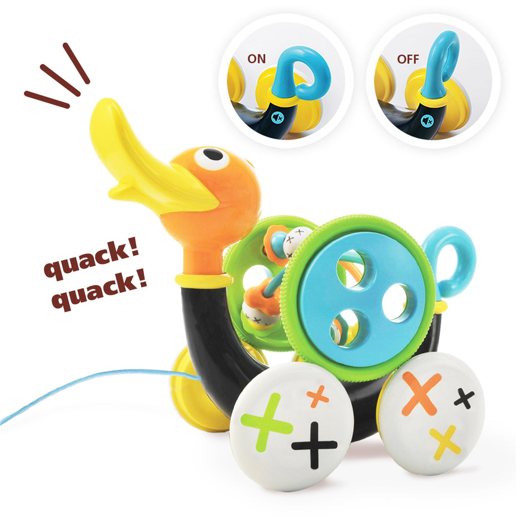 Push Pull Along Toy for Baby D2128
