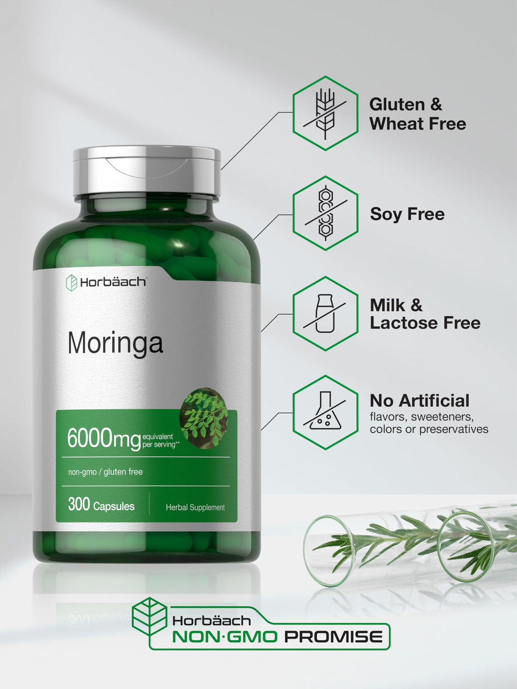 Moringa Oleifera 300 Capsules F31636