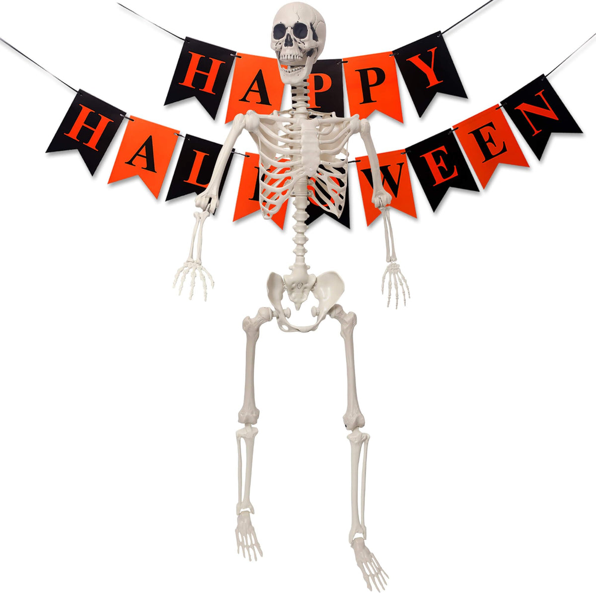 Life Size Poseable Plastic Skeleton with Banner K46741