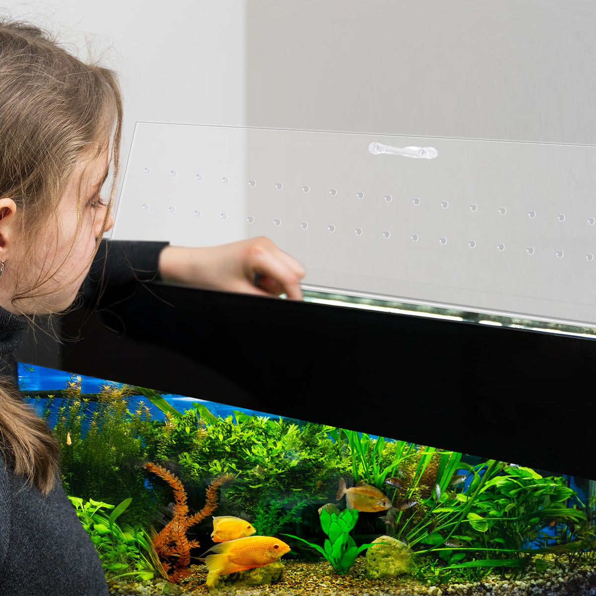 Clear Polycarbonate Aquarium Canopy Set 2 Pcs with Handle Z4220