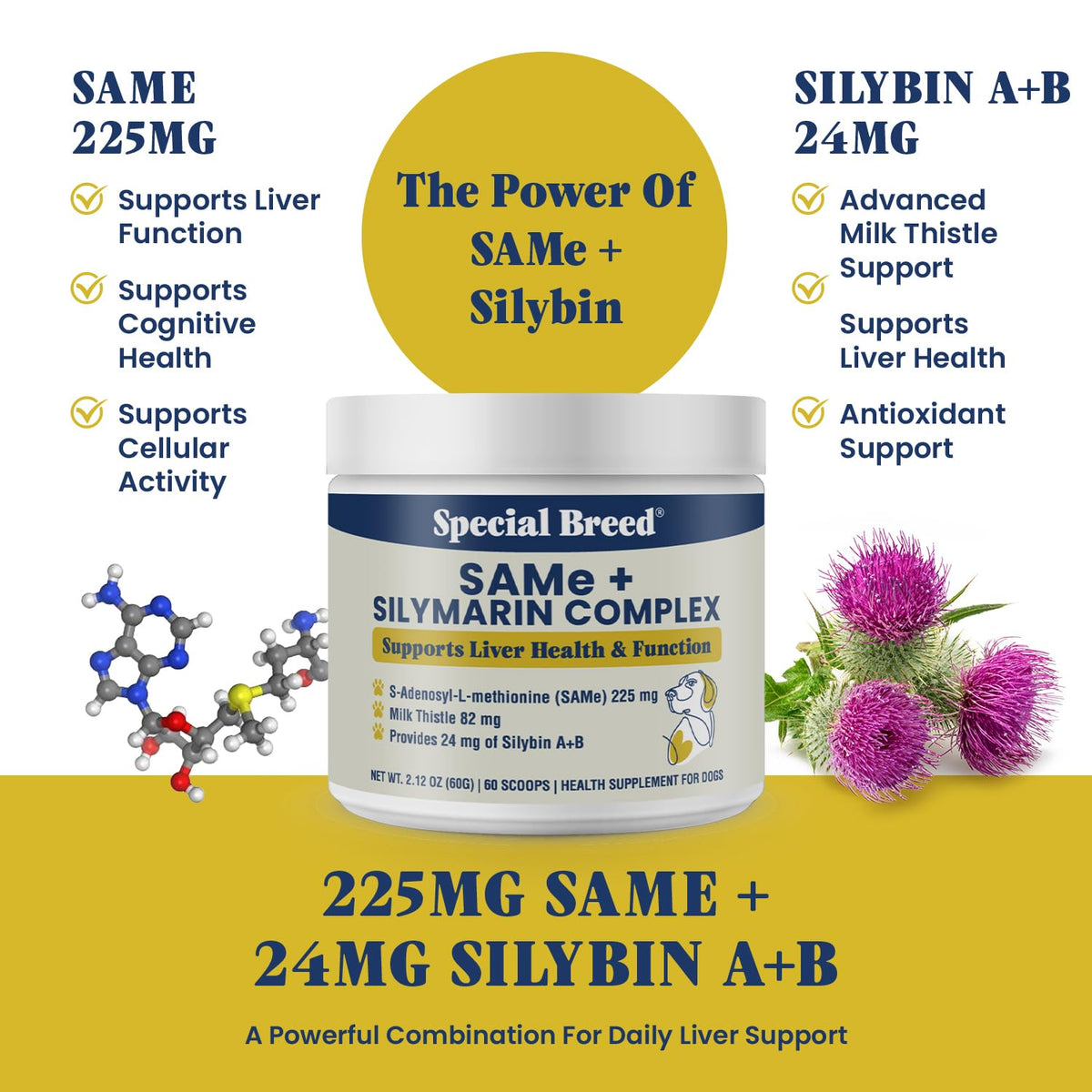 Milk Thistle Supplement Powder I148