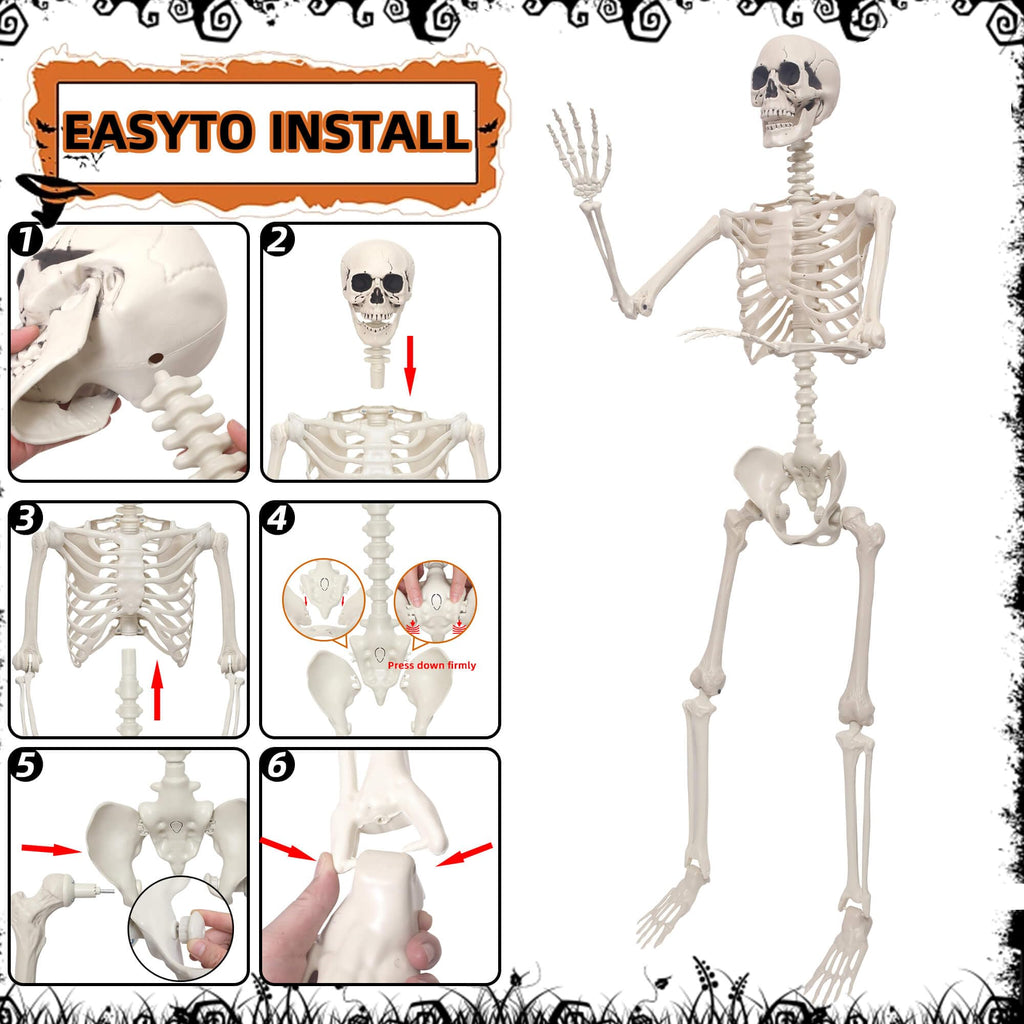 Life Size Poseable Plastic Skeleton with Banner K46741
