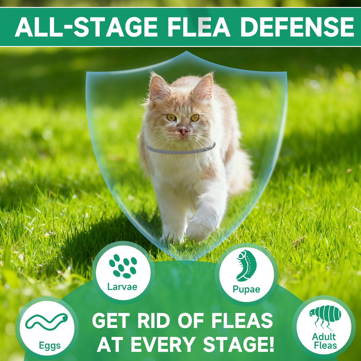 Grey 4-Pack Cat Flea and Tick Collar X8070