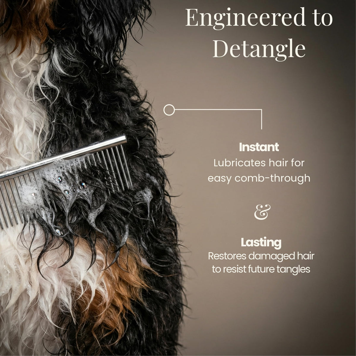 Lavender Dog Shampoo and Conditioner 16oz W982087