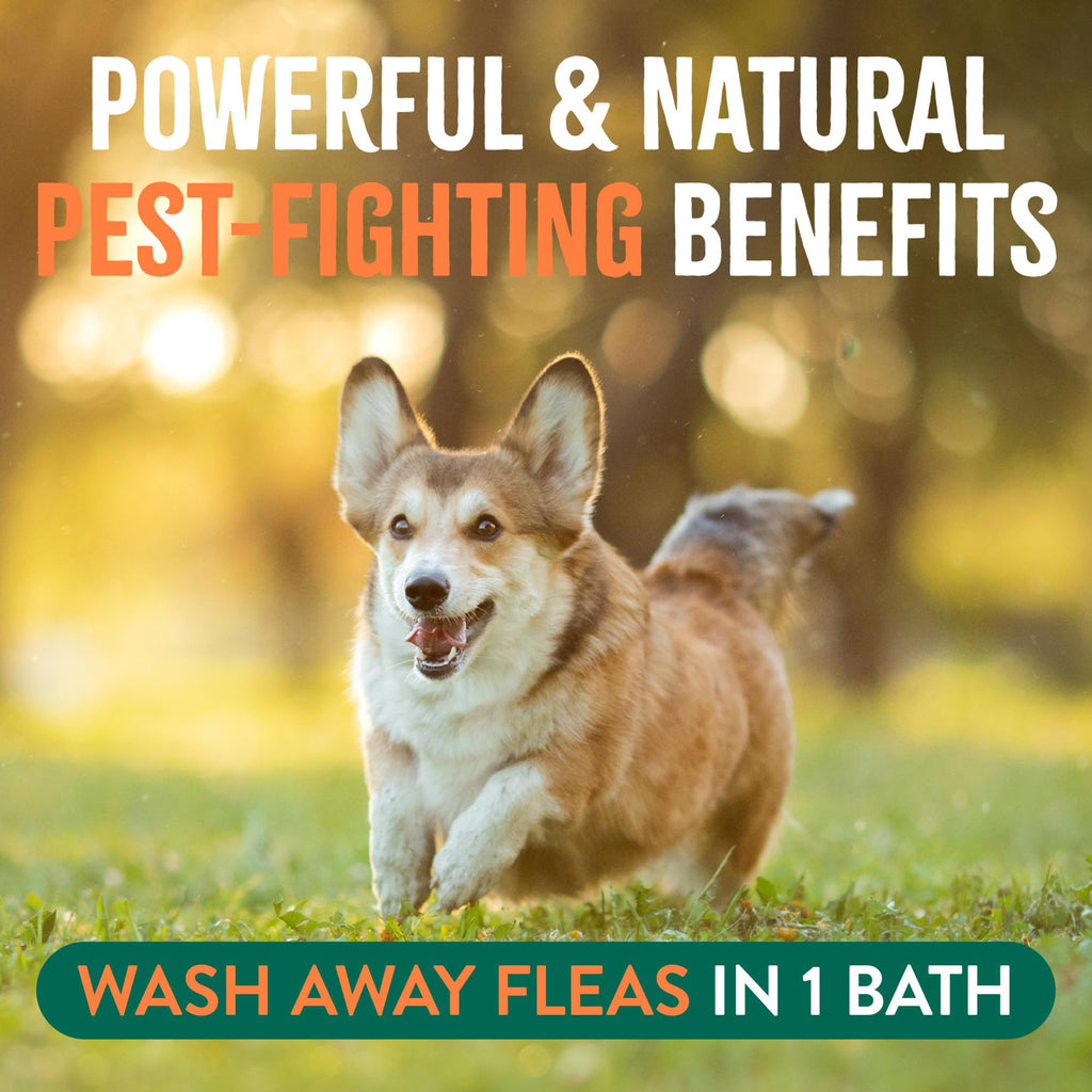 Soothing Flea and Tick Dog Shampoo 20oz S3524