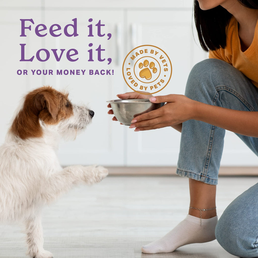 Senior Dog Supplement Powder 1lb Bag A436