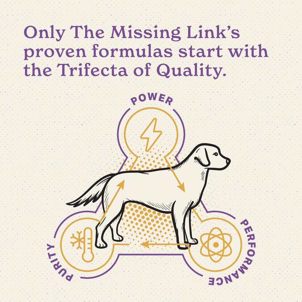 Senior Dog Supplement Powder 1lb Bag A436