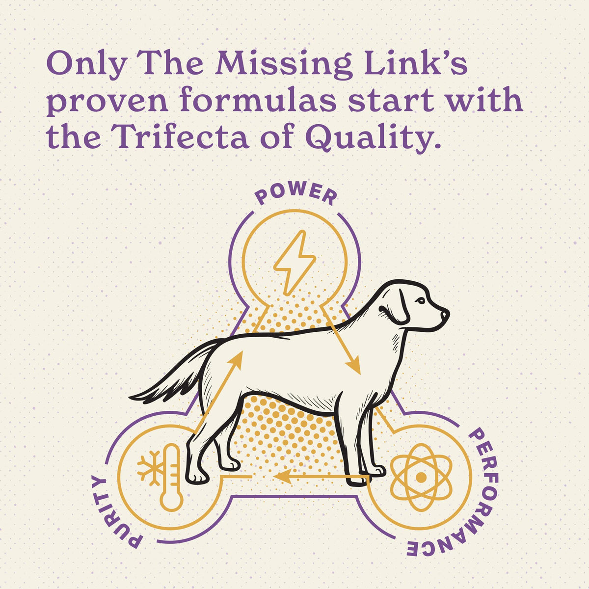 Senior Dog Supplement Powder 1lb Bag A436