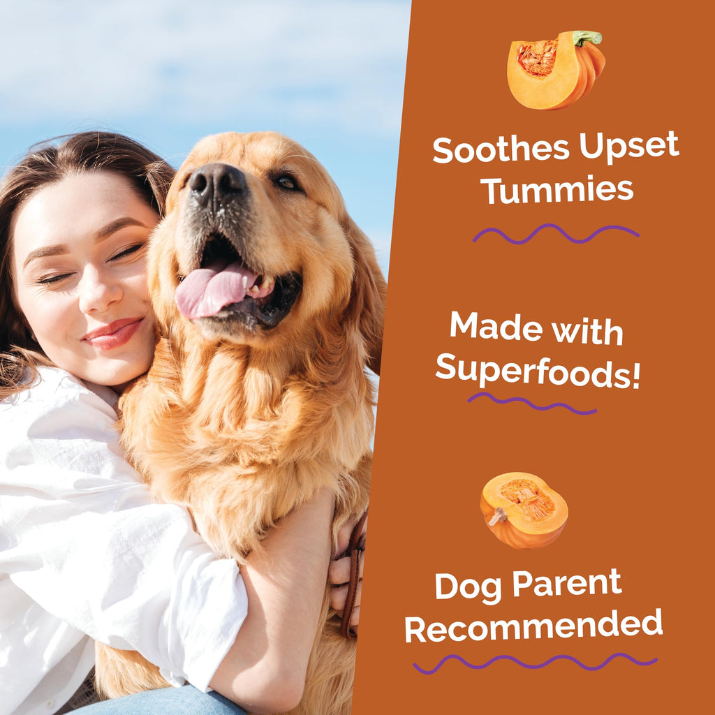 Pumpkin Digestive Supplement for Dogs 15oz A586127