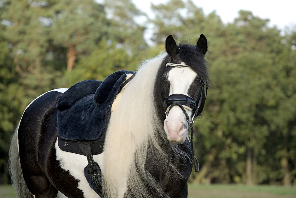 Horse Bareback Pad Treeless Saddle Real Sheepskin L325