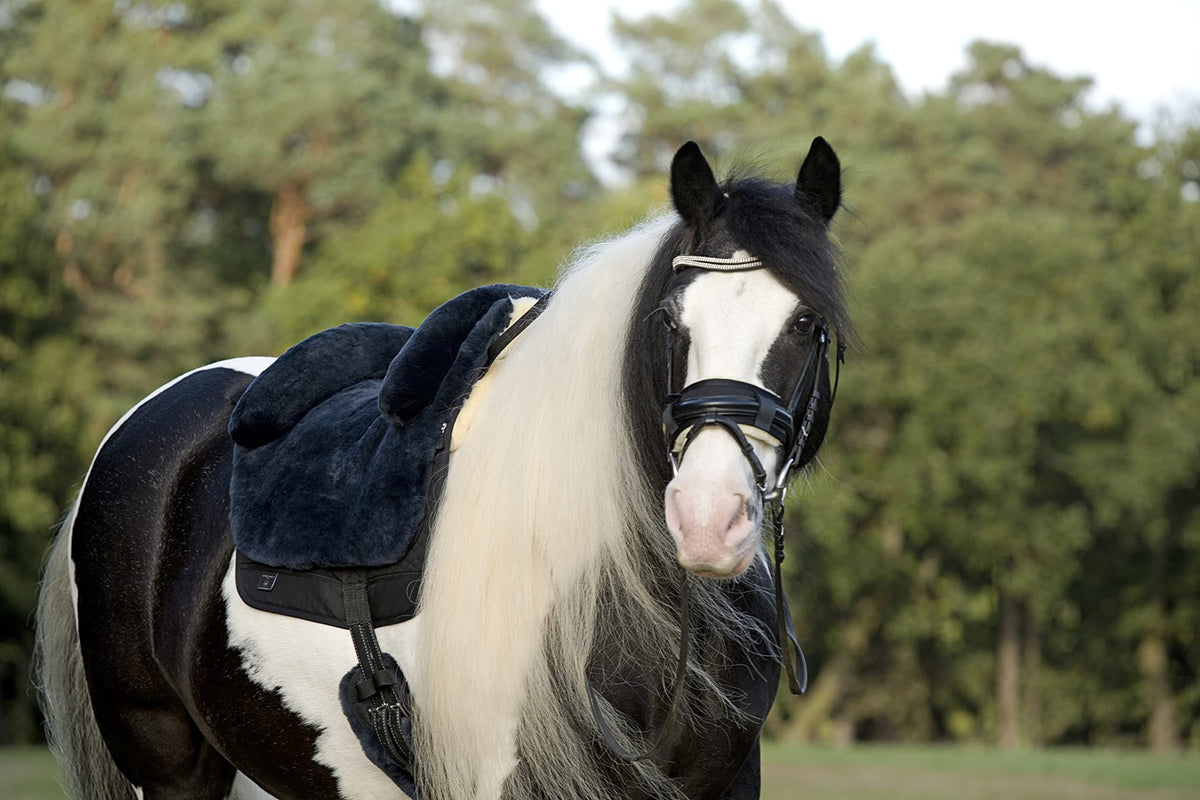 Horse Bareback Pad Treeless Saddle Real Sheepskin L325