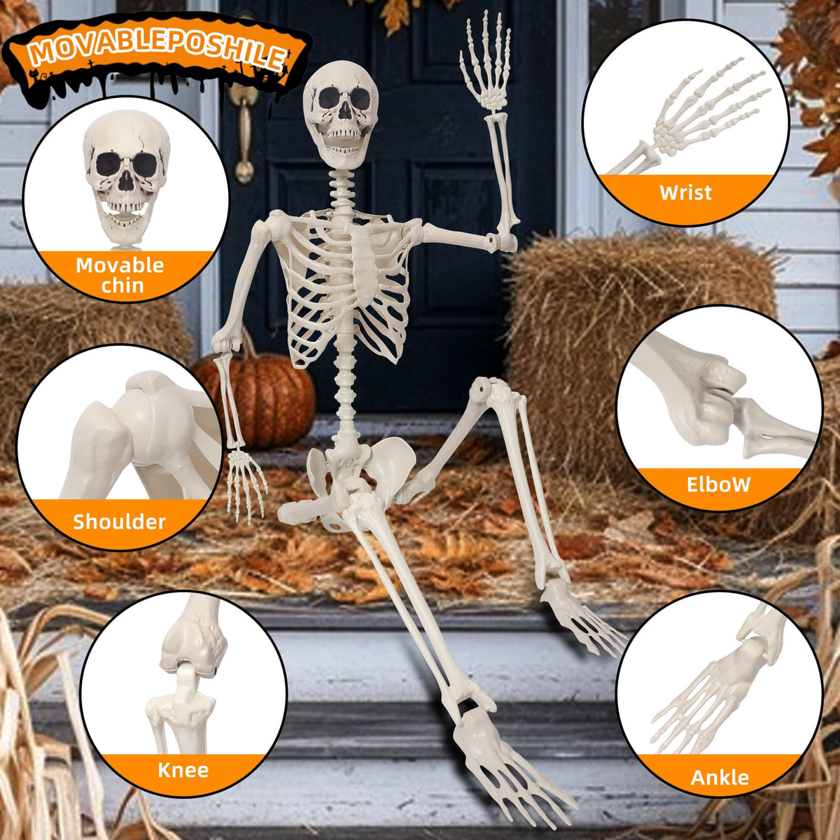 Life Size Poseable Plastic Skeleton with Banner K46741