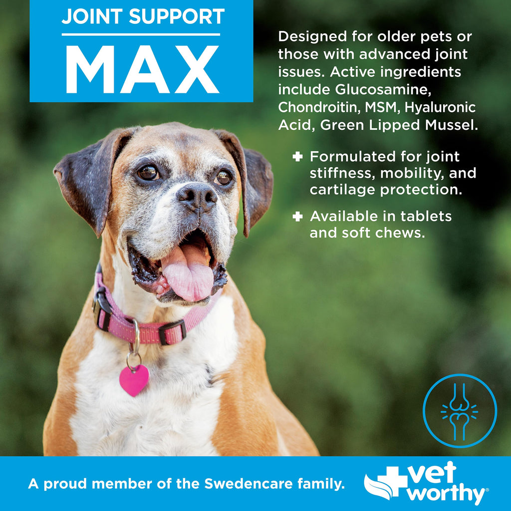 Joint Support Soft Chews 60ct M8564