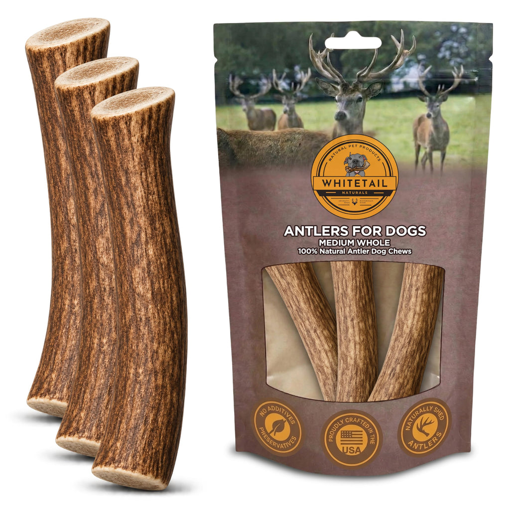 Whole Deer Antlers for Medium Dogs 3 Pack 5-6 Inch I5434